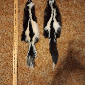 SKUNK FUR PELTS